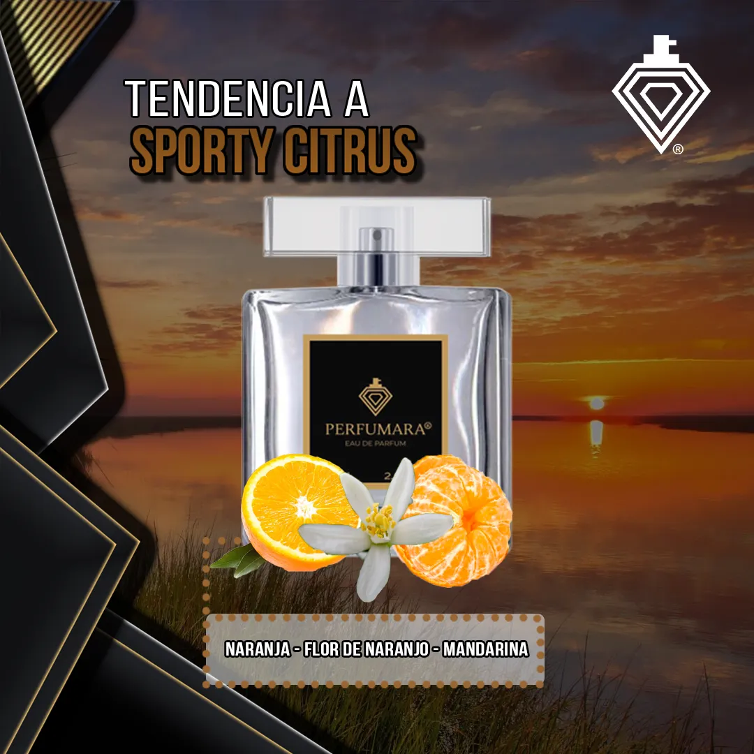 Tendencia a DSporty Citrus